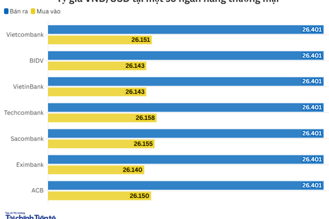 Ngày 24/11: Tỷ giá trung tâm tăng 8 đồng