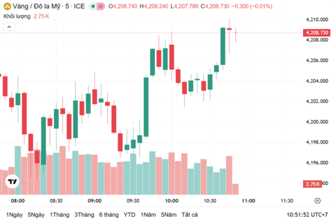 Ngày 5/12: Giá vàng trong nước tăng 400.000 đồng/lượng