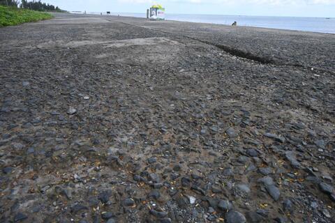 Đê biển xuống cấp, bờ sông sạt lở, Đồng Tháp đề xuất hơn 1.100 tỉ đồng khắc phục