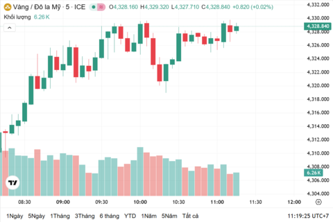 Ngày 15/12: Giá vàng trong nước tăng 500.000 đồng/lượng