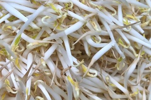 Hỗ trợ sức khỏe tim mạch của người lao động bằng loại thực phẩm dễ tìm