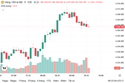 Ngày 31/12: Giá vàng trong nước giảm