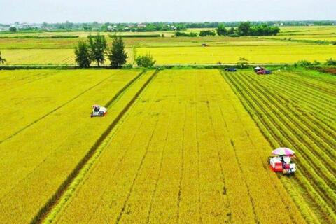 Gỡ điểm nghẽn để “vốn xanh” chảy vào ruộng xanh, vườn hữu cơ