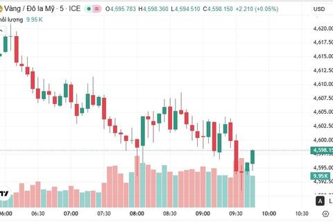 Ngày 16/1: Giá vàng trong nước đứng yên, giá vàng thế giới giảm mạnh