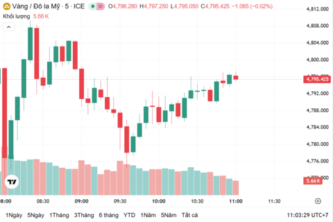 Ngày 22/1: Giá vàng trong nước quay đầu giảm