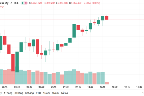 Ngày 2/3: Giá vàng trong nước tăng 1,6 triệu đồng/lượng