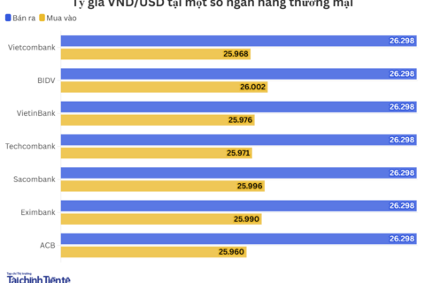 Ngày 3/3: Tỷ giá trung tâm tăng 8 đồng
