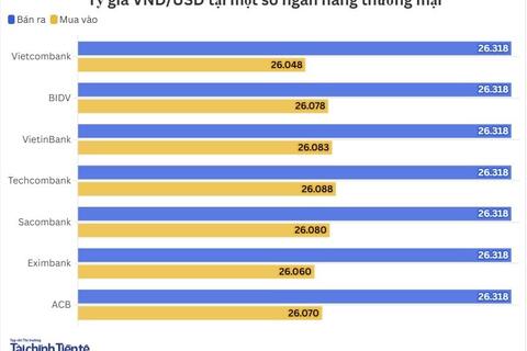 Ngày 13/3: Tỷ giá trung tâm tăng 4 đồng
