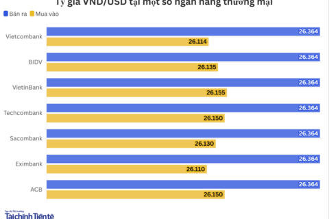 Ngày 24/3: Tỷ giá trung tâm tăng 19 đồng