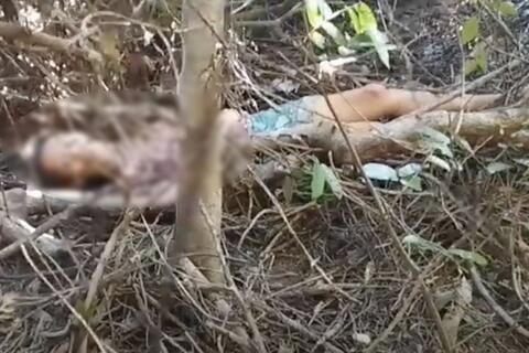 Công an băng rừng cứu người phụ nữ mất tích hơn 10 ngày