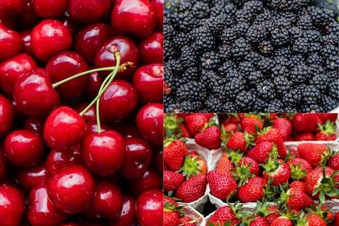 Bất ngờ với những quả mọng quen thuộc giúp gan sạch, dạ dày khỏe