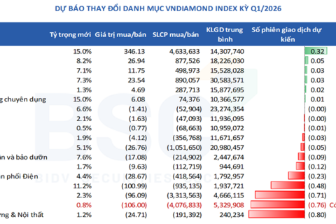 Cơ cấu VNDiamond quý I/2026: Ít biến động, không còn là “mỏ vàng” ETF