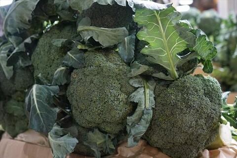 Cách chế biến bông cải xanh giúp giữ tối đa chất chống oxy hóa