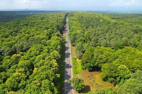 Gia Lai phát triển nông nghiệp giảm phát thải, mở đường tham gia thị trường tín chỉ carbon