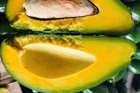 Cách ăn quả bơ bổ gan