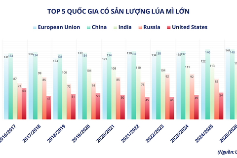 Thiếu cung đẩy giá cao su lên cao nhất 9 năm, áp lực mùa vụ gây sức ép lên giá lúa mì