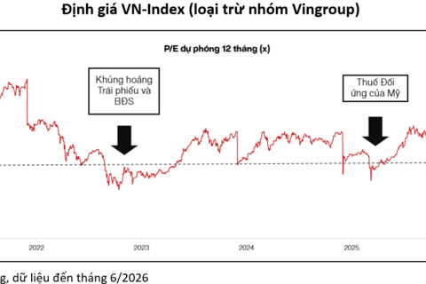 VinaCapital: Hơn 70% cổ phiếu trên thị trường đang giao dịch dưới mức P/E 10 lần