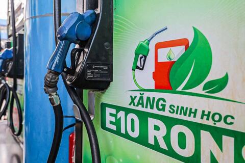 Doanh nghiệp chủ động bảo đảm nguồn cung xăng sinh học trên toàn quốc