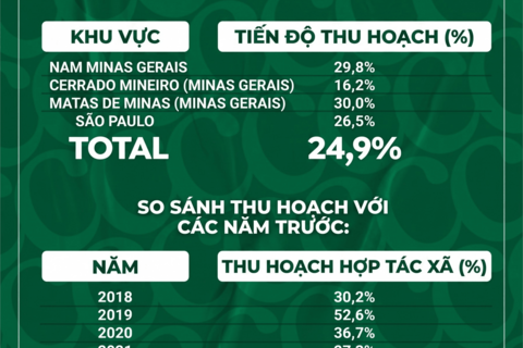 Giá cà phê tăng mạnh, thị trường giao dịch hàng hóa khởi sắc