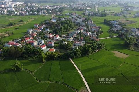 Nhiều khu đất nông nghiệp ở Hà Nội sắp được đấu giá