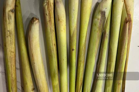 Thức uống hỗ trợ tăng chức năng gan
