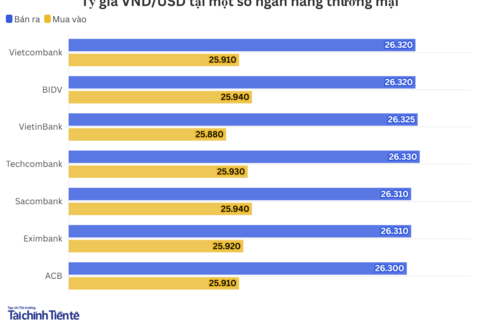 Ngày 12/8: Tỷ giá trung tâm tăng 23 đồng