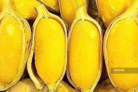 Giảm cân và hỗ trợ ổn định huyết áp từ chuối sáp