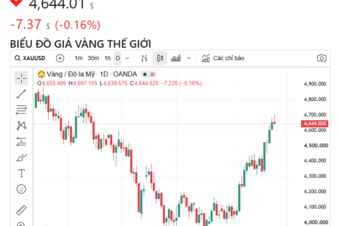 Ngày 25/8: Giá vàng trong nước tiếp đà tăng