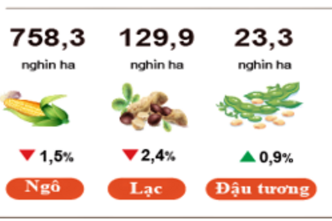 Nông, lâm nghiệp và thủy sản giữ đà tăng trưởng cuối năm