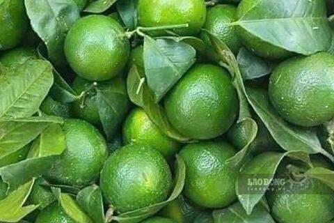 Nước dừa hay nước chanh tốt cho gan