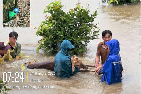 Mưa lớn gây ngập, sạt lở nhiều khu vực ở Lâm Đồng