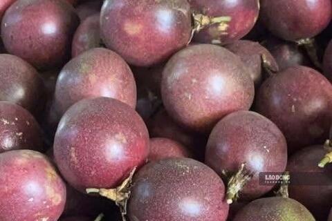 Lý do quả chanh dây có thể hỗ trợ kiểm soát mỡ máu