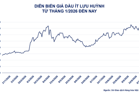 Đà tăng của dầu diesel dẫn dắt thị trường giao dịch hàng hóa