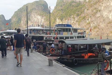 Chủ tàu vịnh Hạ Long bắt tay nhau, “cò” du lịch hết đất sống