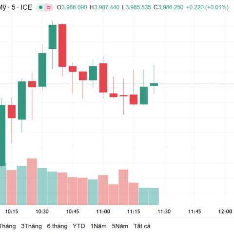 Ngày 6/11: Giá vàng trong nước tăng