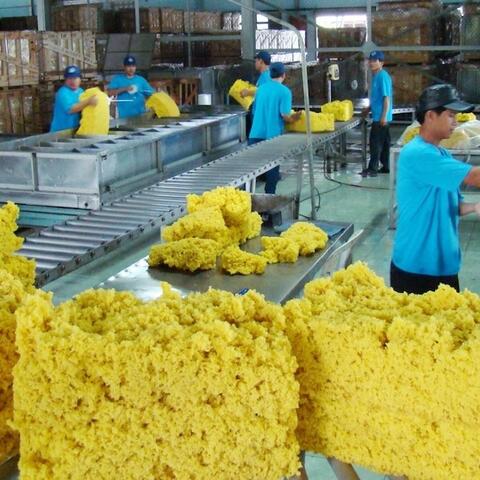 Mỏ vàng bị lãng quên: Ngành cao su thiên nhiên âm thầm báo lãi kỷ lục