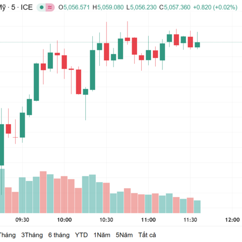 Ngày 11/2: Giá vàng trong nước đi ngang, giá vàng thế giới tiếp tục tăng