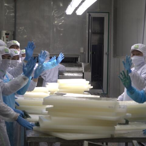 Doanh nghiệp vào guồng sản xuất sớm