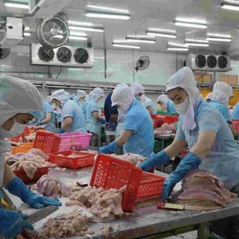 An Giang phấn đấu tăng trưởng nông, lâm, thủy, sản đạt hơn 54.300 tỉ đồng