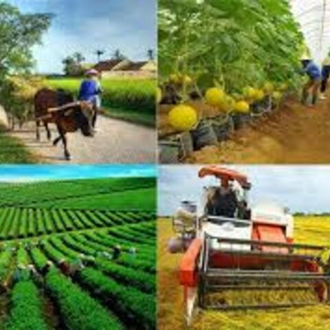 Kế hoạch hoạt động năm 2026 của Ban Chỉ đạo quốc gia về kinh tế tập thể