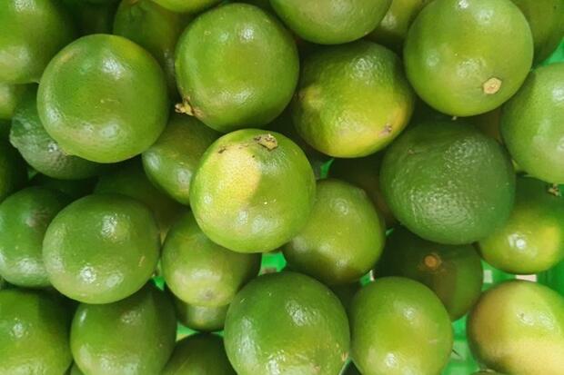 5 lưu ý khi uống nước chanh giảm cân