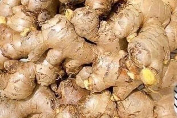Cách ăn gừng để đốt mỡ, giảm cân