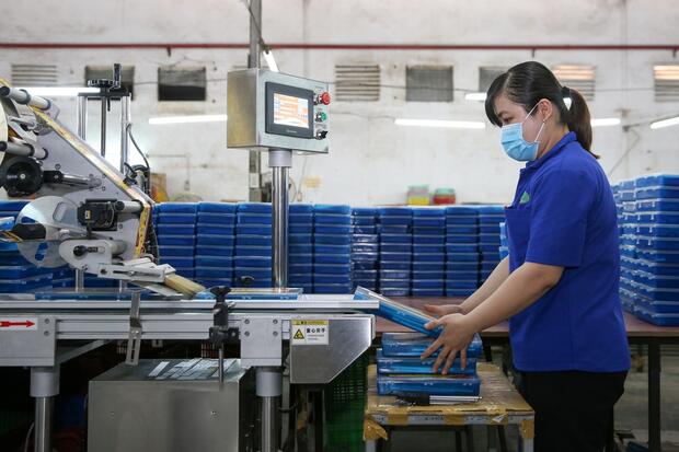 Số lượng doanh nghiệp tăng nhưng áp lực rút lui vẫn lớn