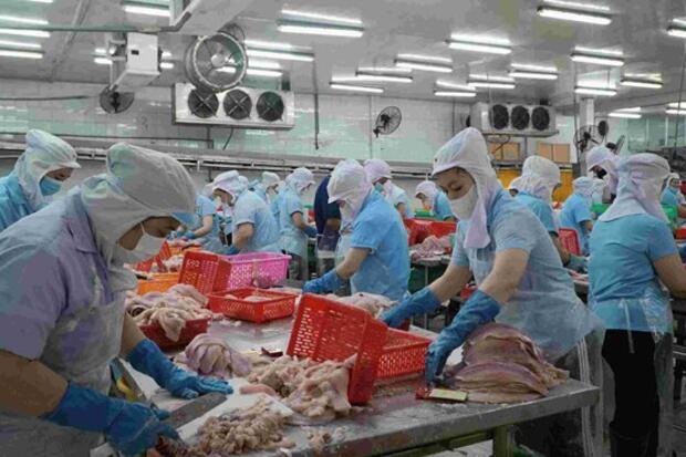 An Giang phấn đấu tăng trưởng nông, lâm, thủy, sản đạt hơn 54.300 tỉ đồng