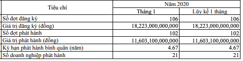 Tháng 1/2020, doanh nghiệp bất động sản bất ngờ soán ngôi để đứng đầu nhóm ngành chào bán trái phiếu với giá trị 8.703 tỷ đồng - Ảnh 1.