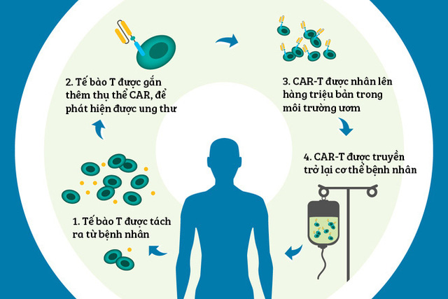 Các nhà khoa học phát hiện ra một tế bào miễn dịch có thể điều trị mọi loại ung thư - Ảnh 4.