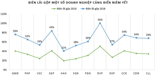 Doanh nghiệp cảng biển đồng loạt lãi vượt kế hoạch 2019 - Ảnh 2.