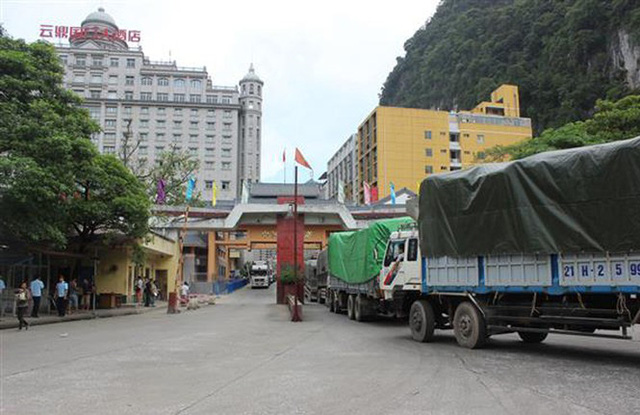 Hủy thu mua hàng trăm container thanh long vì dịch virus corona - Ảnh 1.