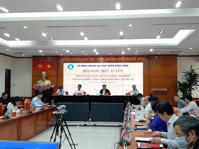 hoi-nghi-truc-tuyen-thao-go-kh-3469-7047