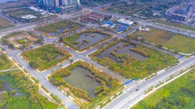 Lợi dụng đấu giá đất để trục lợi: Cần bịt “lỗ hổng” pháp lý